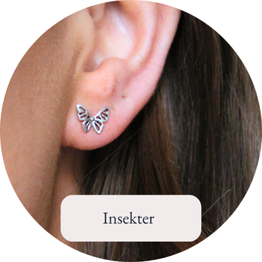 Insekter