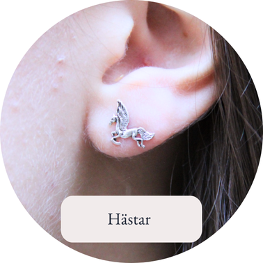 Hästar