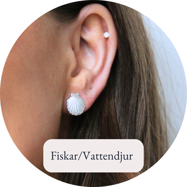 Fiskar/Vattendjur