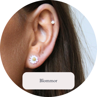 Blommor