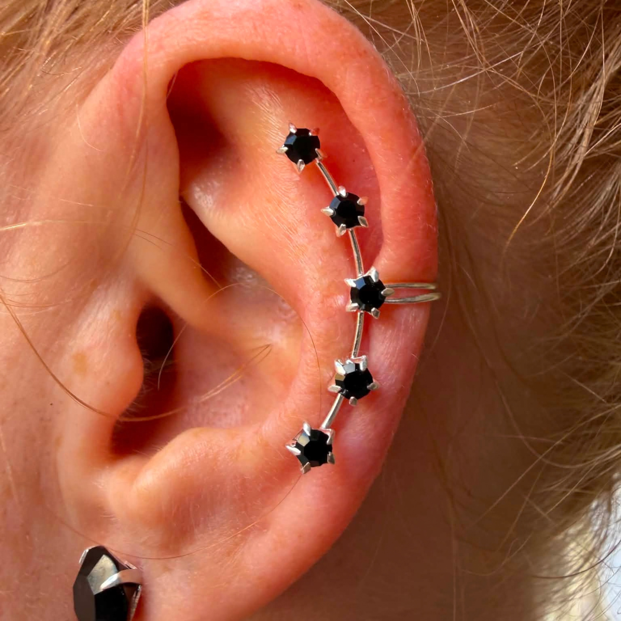 Silverclimber med svarta stenar