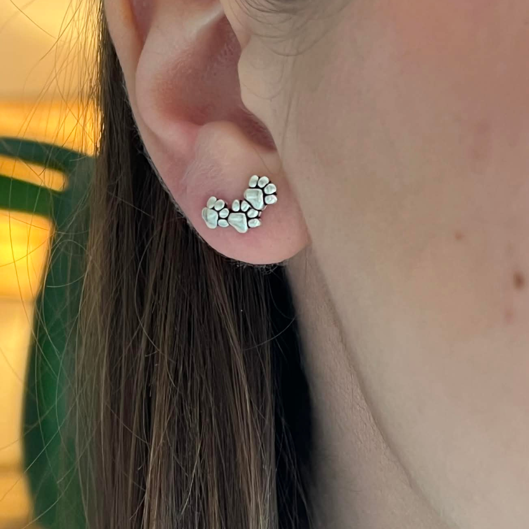 SILVERÖRHÄNGE FAMILY PAWS