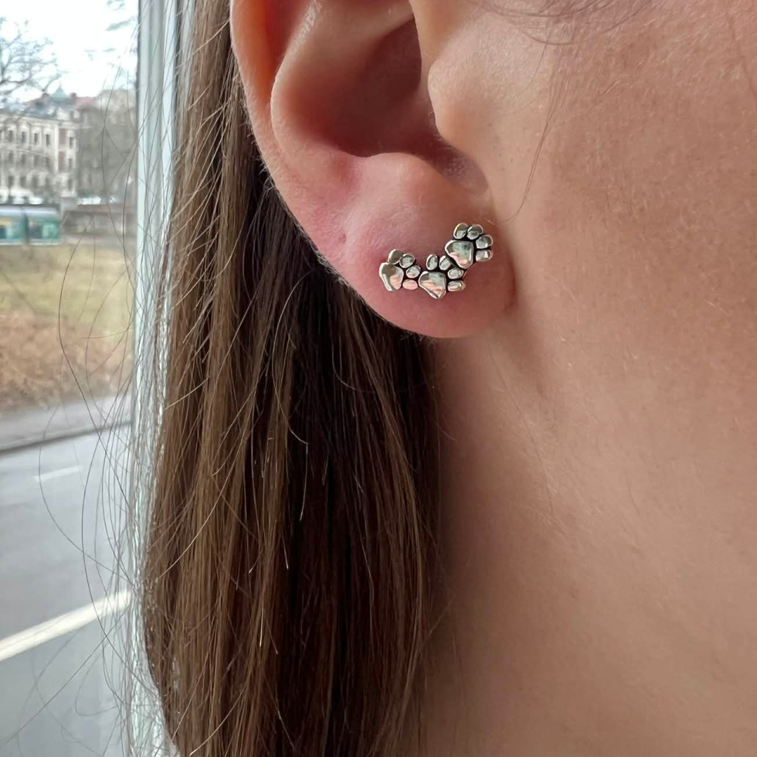 SILVERÖRHÄNGE FAMILY PAWS