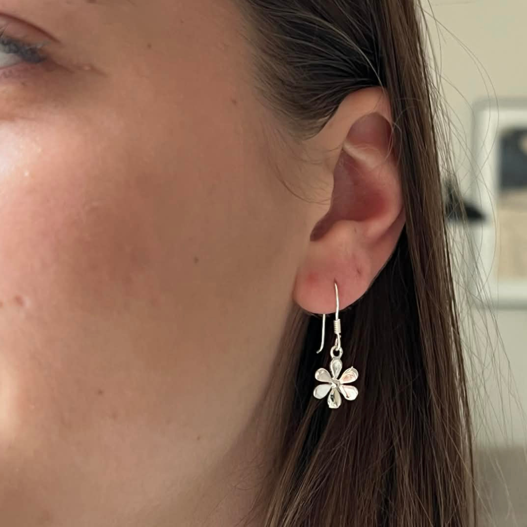 SILVERÖRHÄNGE SPRINGFLOWER